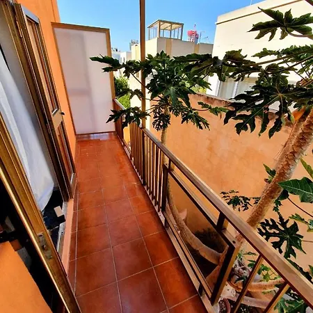 Guest house Comet *